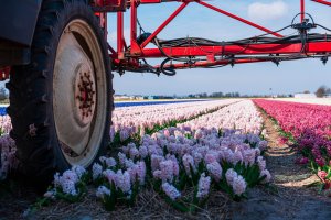 Greșeli frecvente în lucrările agricole din luna mai