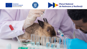 Inamicul invizibil din jurul nostru: parazitul de la animalele de companie și de fermă care poate pune în pericol sănătatea oamenilor