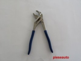 Cleste tip papagal 10inch