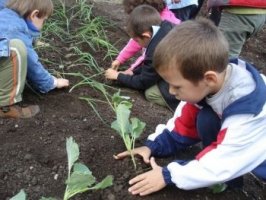Slow Food si educatia gustului
