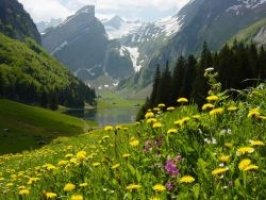 Efectele naturii asupra sanatatii mentale