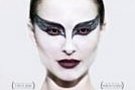 Black Swan Black Swan