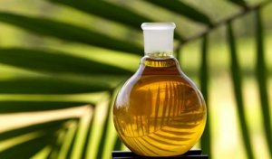 Beneficiile uleiului de palmier