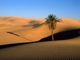 Desertul Sahara