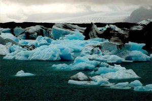 Efectele incalzirii globale asupra plantelor si animalelor