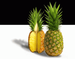Fructe exotice