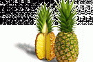Fructe exotice Fructe exotice