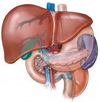 Tipuri de ciroza hepatica