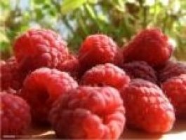 Zmeura, comoara a naturii