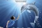 Dolphin Tale Dolphin Tale