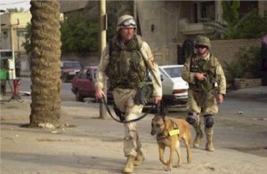 Cainii si robotii, soldatii viitorului