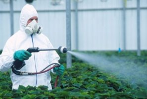 Pesticidele, o temere exagerata?