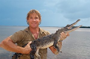 Steve Irwin, vanatorul de crocodili