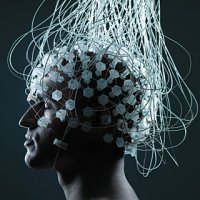 Computerele biologice ar putea deveni o realitate
