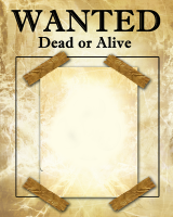 Vanatorii de recompense