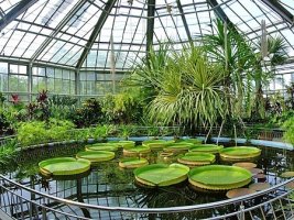 Gradini Botanice din Romania