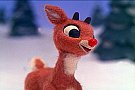 De ce are renul Rudolf nasul rosu?