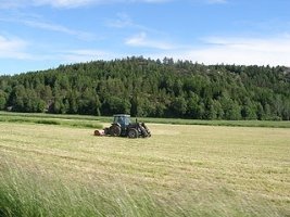 Agricultură